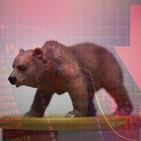 Bärenmarkt Bärenmarkt