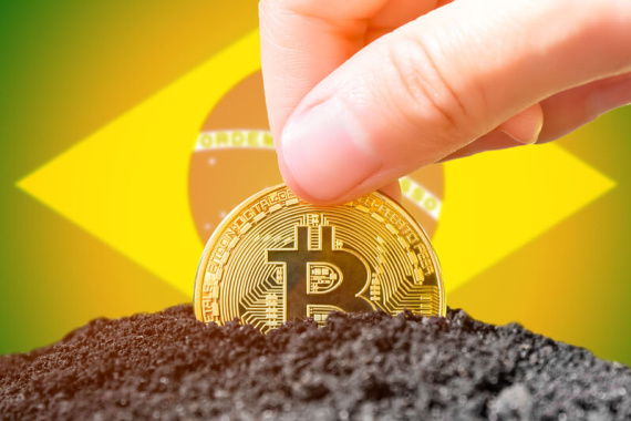 Brasilien plant Bitcoin-Reserve Brasilien plant Bitcoin-Reserve