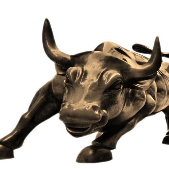 Bullenmarkt Bullenmarkt
