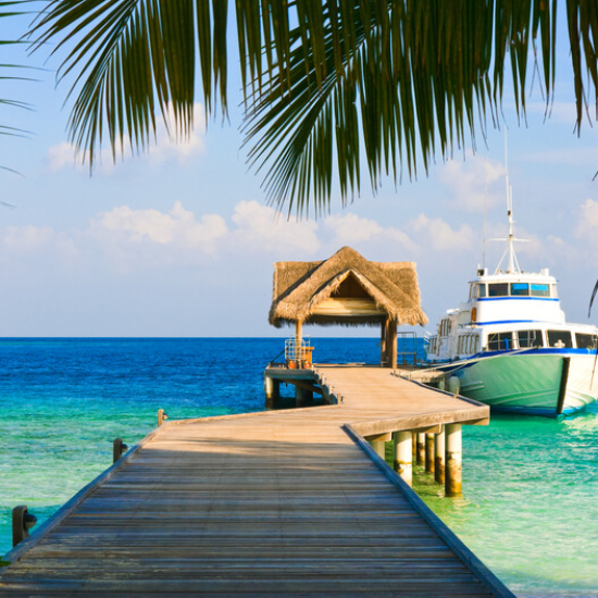 Mit Bitcoin reich werden Mit Bitcoin reich werden