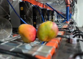 Bitcoin Mango Bitcoin Mango