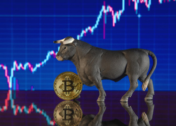 Bitcoin-Begriffe Bitcoin-Begriffe