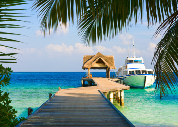 Mit Bitcoin reich werden Mit Bitcoin reich werden