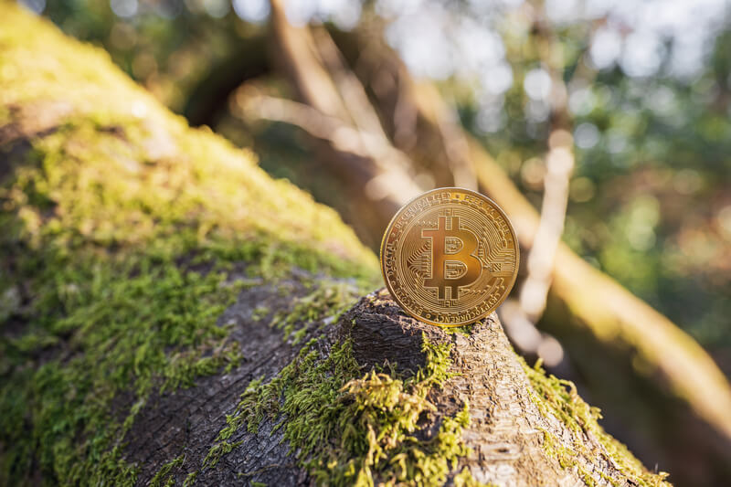 Bitcoin und die Umwelt Bitcoin und die Umwelt