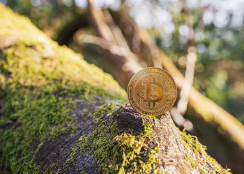 Bitcoin und die Umwelt